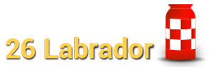 Hotel Rural 26 Labrador en Calatorao